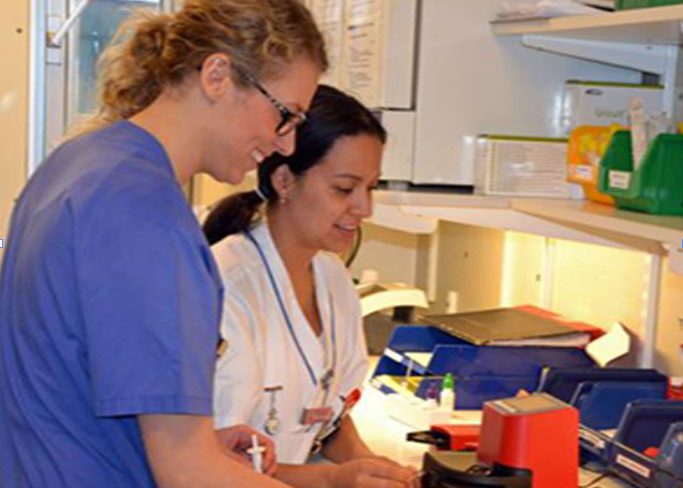 Two nurses working with HemoCue analyzers